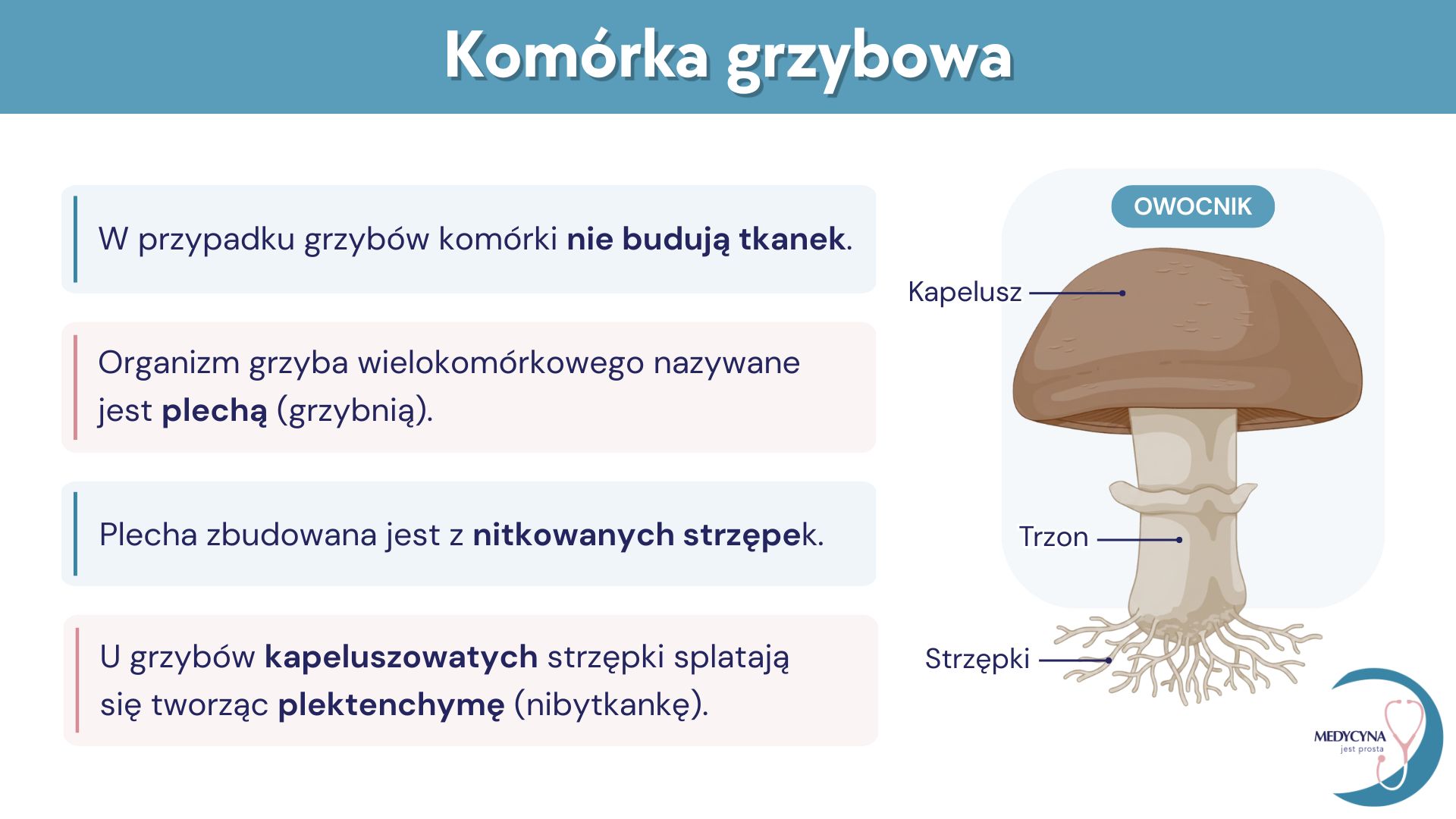 15. GRZYBY I POROST