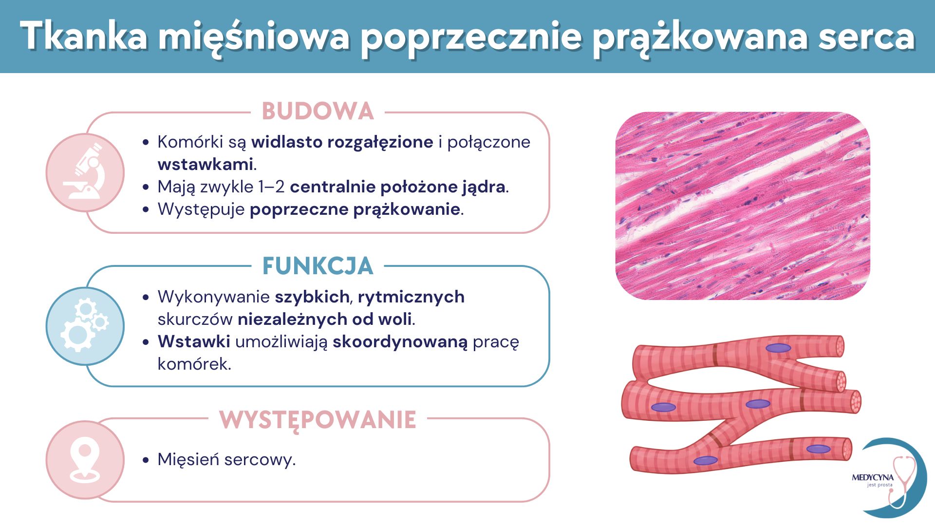 21.TKANKI ZWIERZĘCE