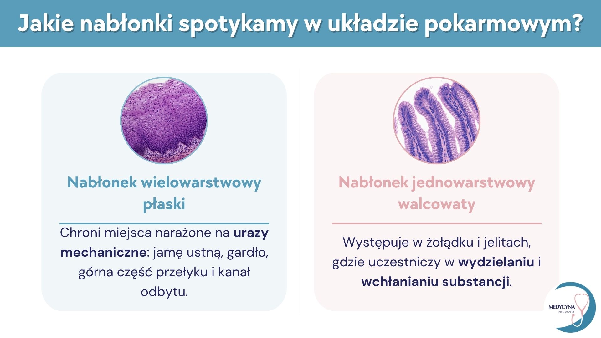 27.UKŁAD POKARMOWY-2 (1)