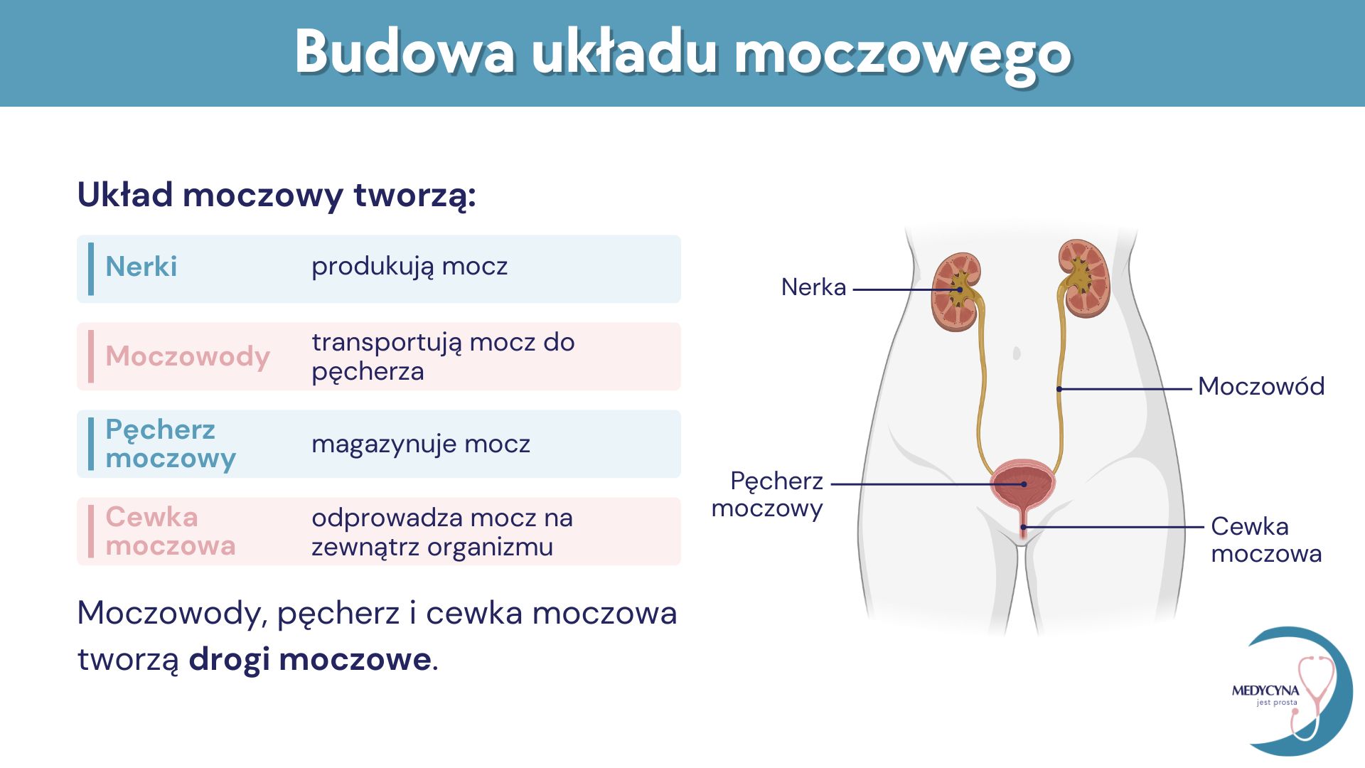 32.UKŁAD MOCZOWy (1)